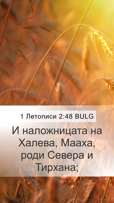 1 Летописи 2:48 BULG Mobile Phone Wallpaper - И наложницата на Халева, - Mobile Bible Verse Wallpaper