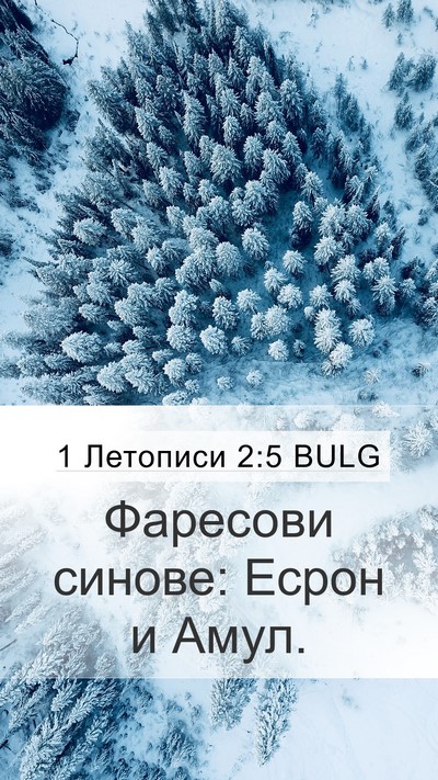 1 Летописи 2:5 BULG Bible Verse Image