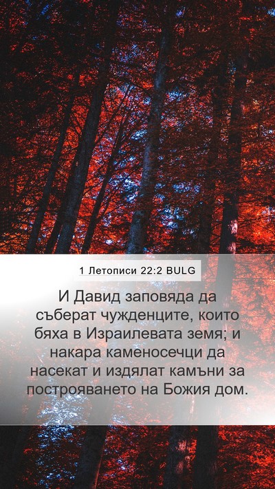 1 Летописи 22:2 BULG Bible Verse Image
