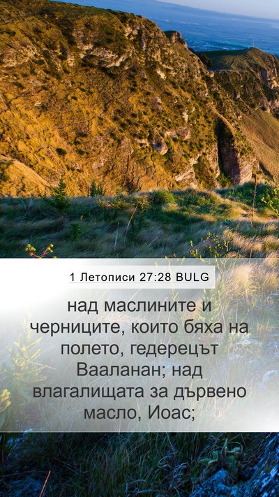 1 Летописи 27:28 BULG Bible Verse Image