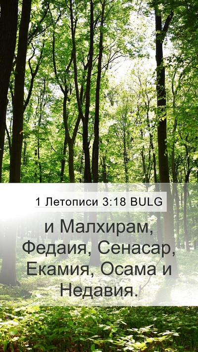 1 Летописи 3:18 BULG Bible Verse Image