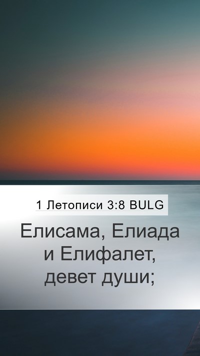 1 Летописи 3:8 BULG Bible Verse Image