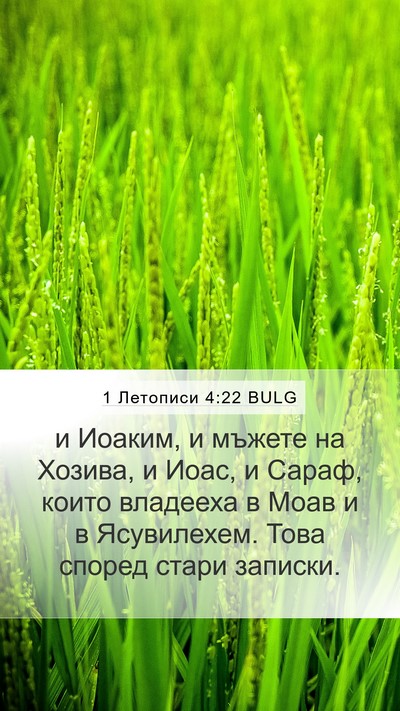 1 Летописи 4:22 BULG Mobile Phone Wallpaper - и Иоаким, и мъжете на - Mobile Bible Verse Wallpaper