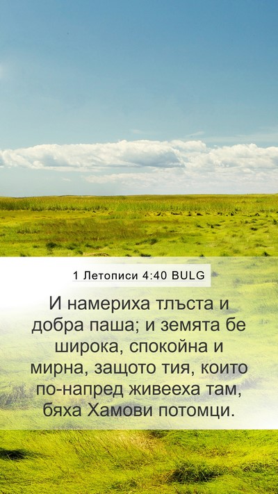 1 Летописи 4:40 BULG Bible Verse Image