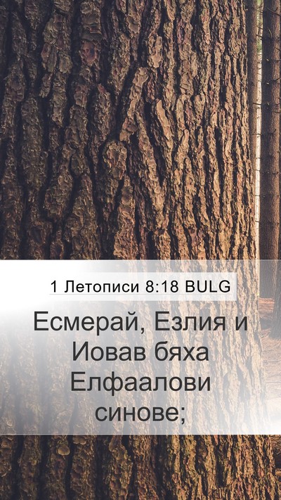 1 Летописи 8:18 BULG Bible Verse Image