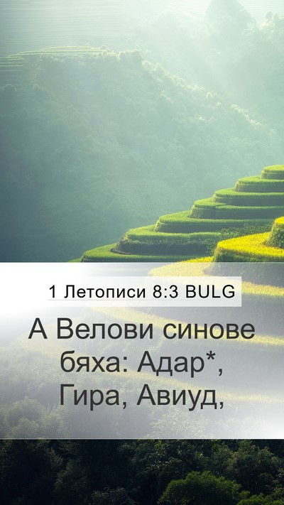 1 Летописи 8:3 BULG Mobile Phone Wallpaper - А Велови синове бяха: Адар*, - Mobile Bible Verse Wallpaper