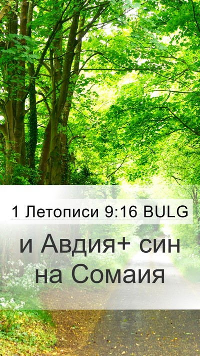 1 Летописи 9:16 BULG Bible Verse Image