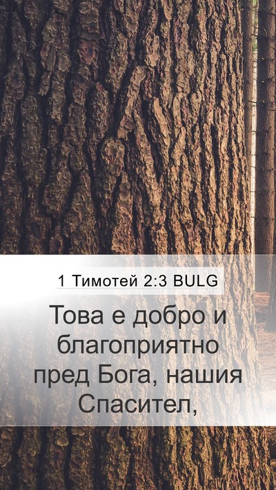 1 Тимотей 2:3 BULG Bible Verse Image