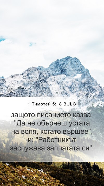 1 Тимотей 5:18 BULG Mobile Phone Wallpaper - защото писанието казва: 