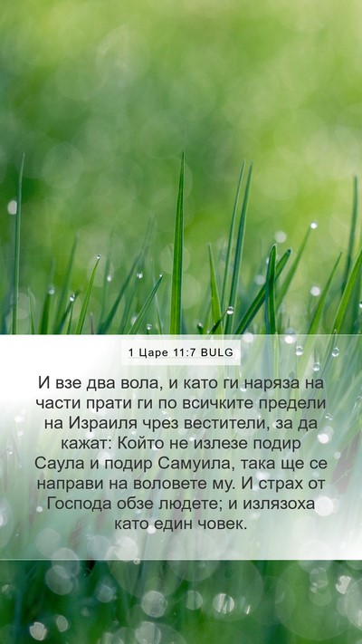1 Царе 11:7 BULG Bible Verse Image