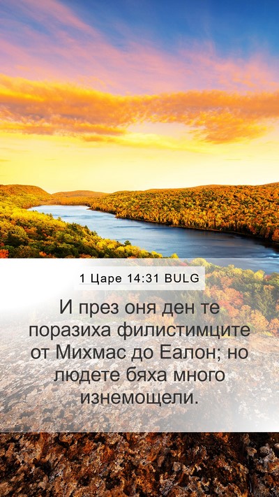 1 Царе 14:31 BULG Bible Verse Image