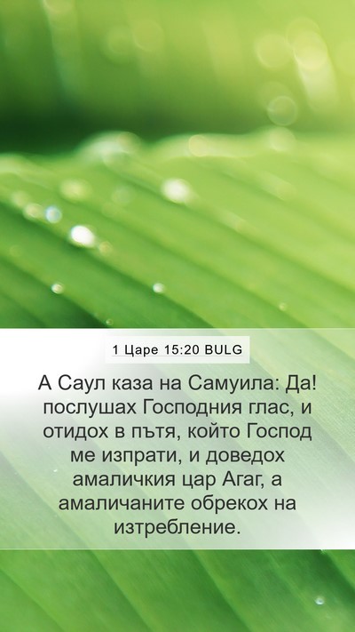 1 Царе 15:20 BULG Bible Verse Image