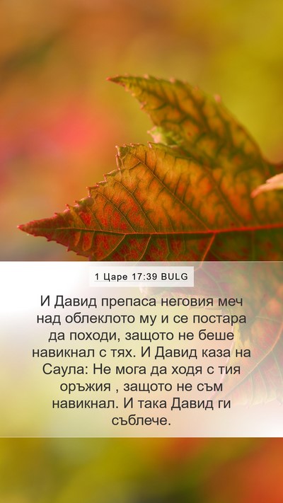 1 Царе 17:39 BULG Mobile Phone Wallpaper - И Давид препаса неговия - Mobile Bible Verse Wallpaper