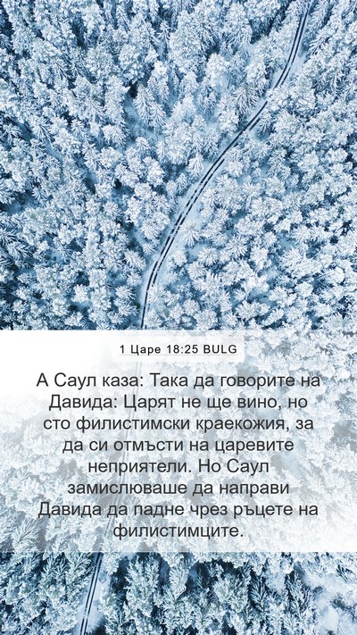 1 Царе 18:25 BULG Bible Verse Image