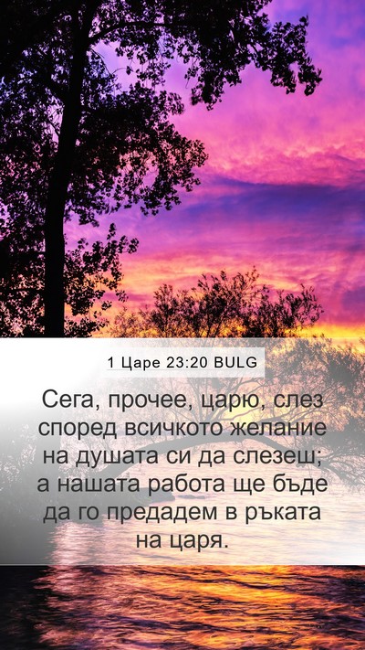 1 Царе 23:20 BULG Bible Verse Image