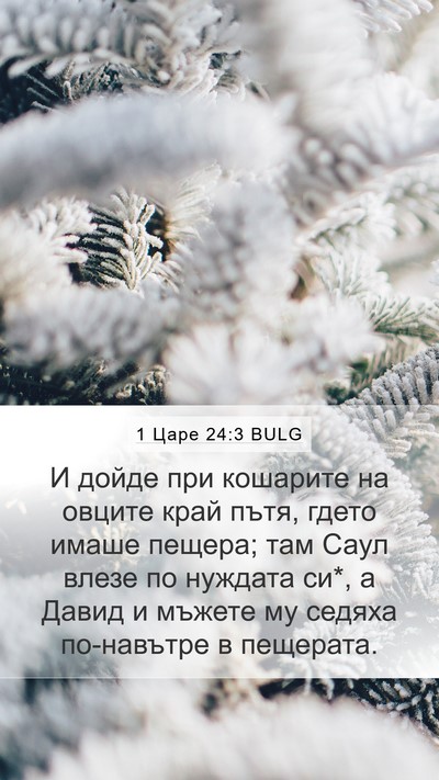 1 Царе 24:3 BULG Bible Verse Image