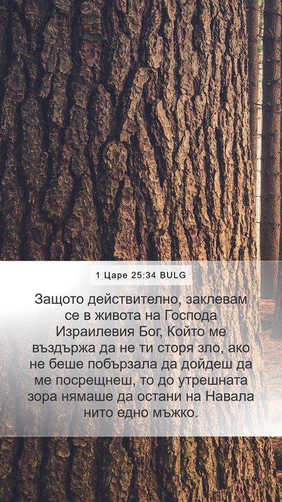 1 Царе 25:34 BULG Bible Verse Image