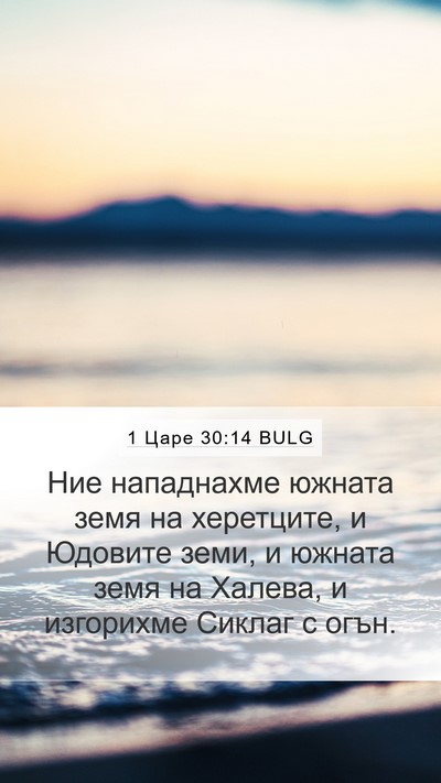 1 Царе 30:14 BULG Bible Verse Image