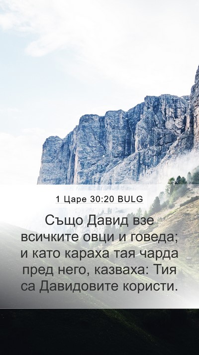 1 Царе 30:20 BULG Bible Verse Image