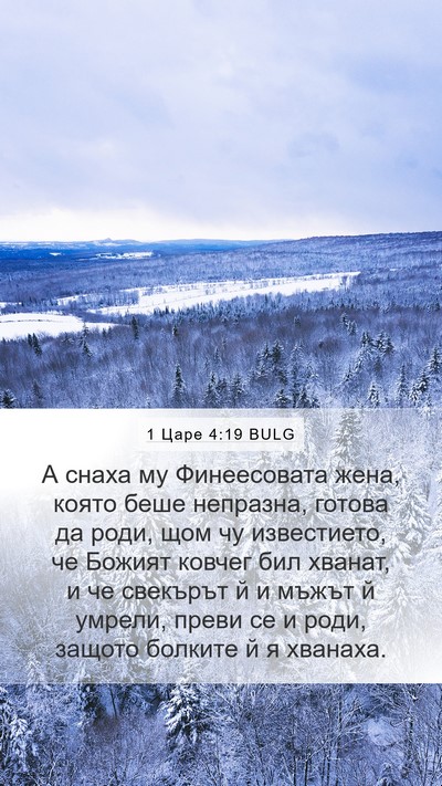 1 Царе 4:19 BULG Bible Verse Image