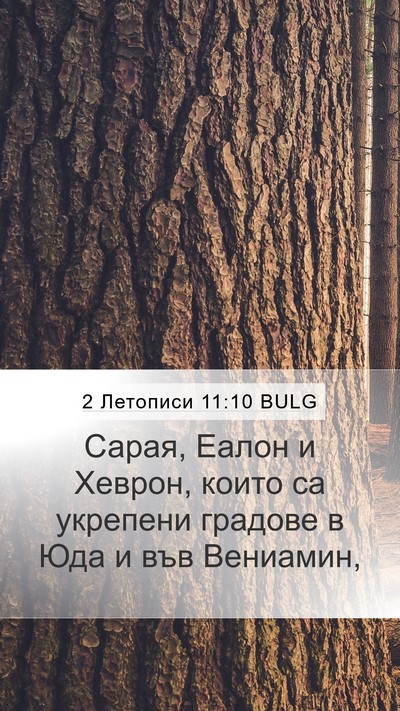 2 Летописи 11:10 BULG Bible Verse Image