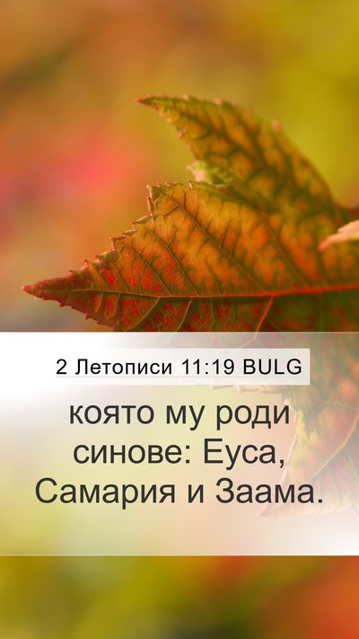 2 Летописи 11:19 BULG Bible Verse Image