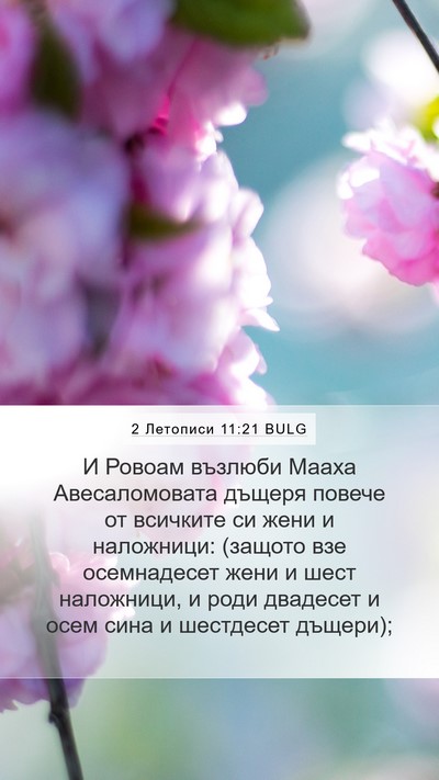 2 Летописи 11:21 BULG Bible Verse Image