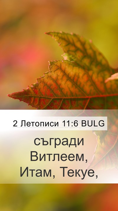 2 Летописи 11:6 BULG Bible Verse Image