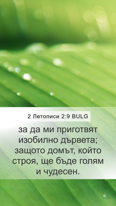 2 Летописи 2:9 BULG Bible Verse Image