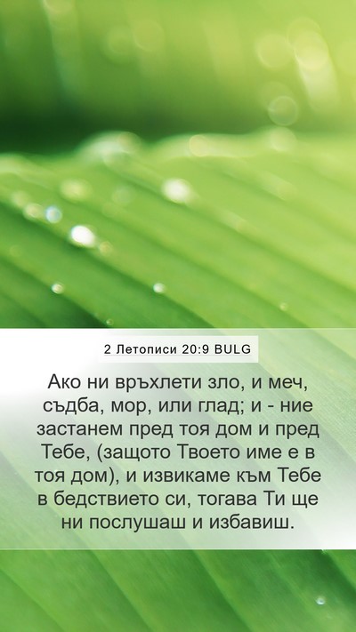 2 Летописи 20:9 BULG Bible Verse Image
