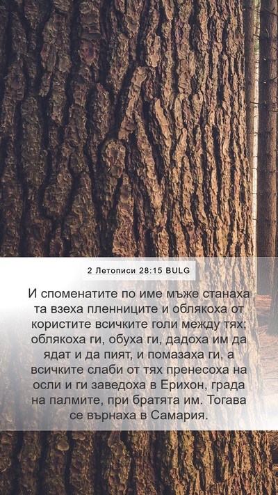 2 Летописи 28:15 BULG Bible Verse Image