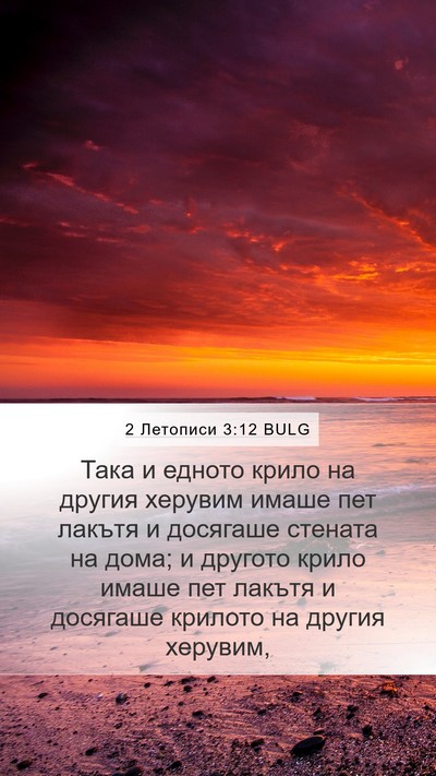 2 Летописи 3:12 BULG Mobile Phone Wallpaper - Така и едното крило на - Mobile Bible Verse Wallpaper