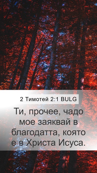 2 Тимотей 2:1 BULG Bible Verse Image