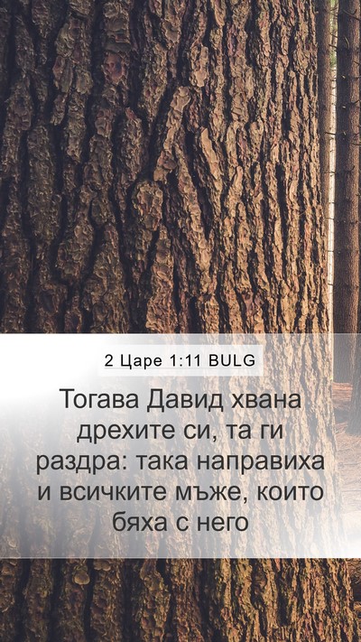 2 Царе 1:11 BULG Bible Verse Image