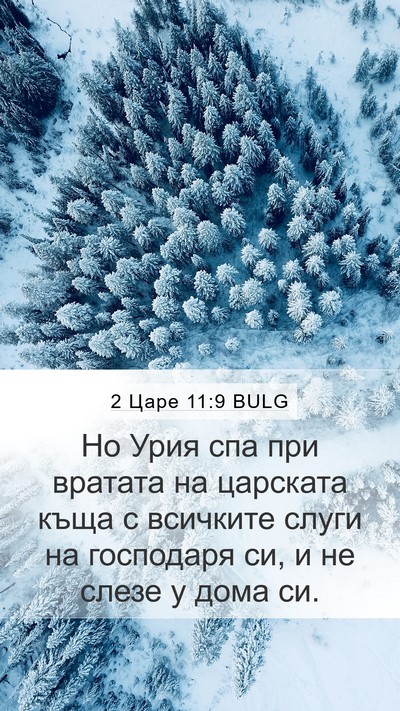 2 Царе 11:9 BULG Mobile Phone Wallpaper - Но Урия спа при вратата на - Mobile Bible Verse Wallpaper