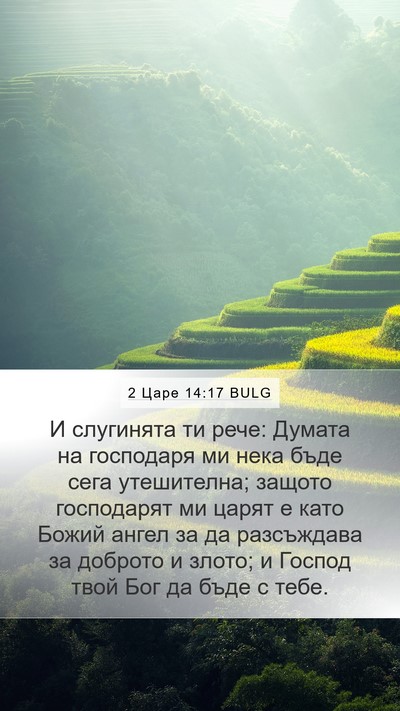 2 Царе 14:17 BULG Bible Verse Image