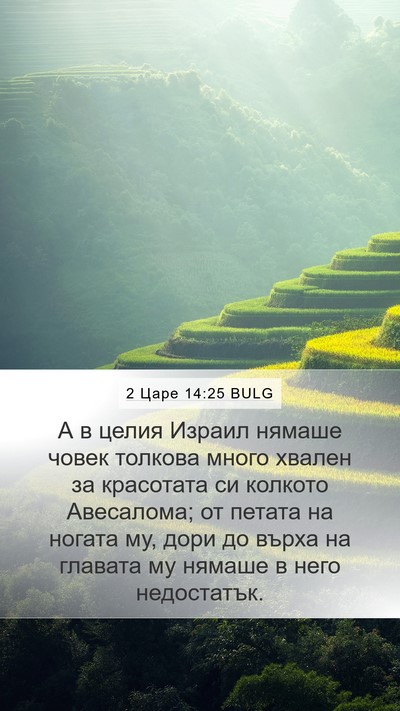 2 Царе 14:25 BULG Mobile Phone Wallpaper - А в целия Израил нямаше - Mobile Bible Verse Wallpaper