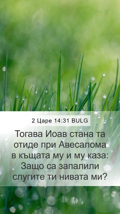 2 Царе 14:31 BULG Mobile Phone Wallpaper - Тогава Иоав стана та отиде - Mobile Bible Verse Wallpaper