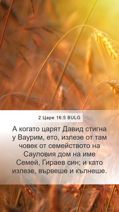 2 Царе 16:5 BULG Bible Verse Image