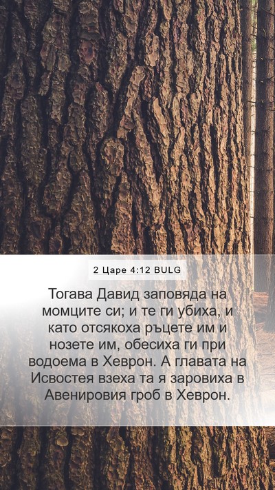 2 Царе 4:12 BULG Mobile Phone Wallpaper - Тогава Давид заповяда на - Mobile Bible Verse Wallpaper