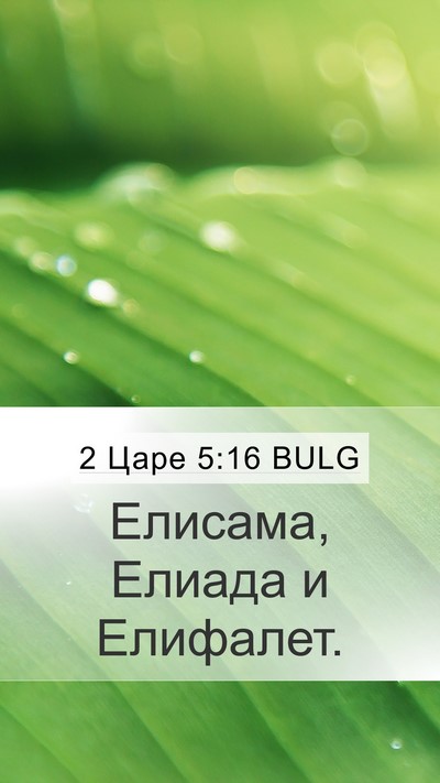 2 Царе 5:16 BULG Mobile Phone Wallpaper - Елисама, Елиада и - Mobile Bible Verse Wallpaper