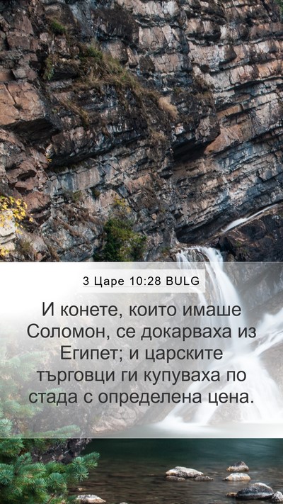 3 Царе 10:28 BULG Bible Verse Image