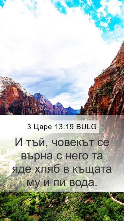 3 Царе 13:19 BULG Mobile Phone Wallpaper - И тъй, човекът се върна с - Mobile Bible Verse Wallpaper