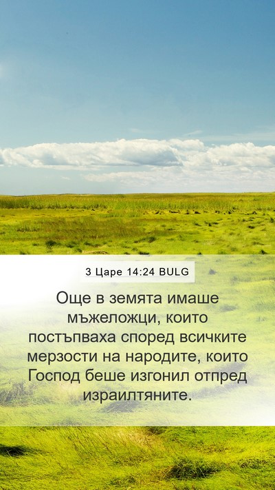 3 Царе 14:24 BULG Bible Verse Image