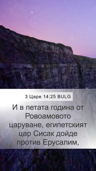 3 Царе 14:25 BULG Bible Verse Image