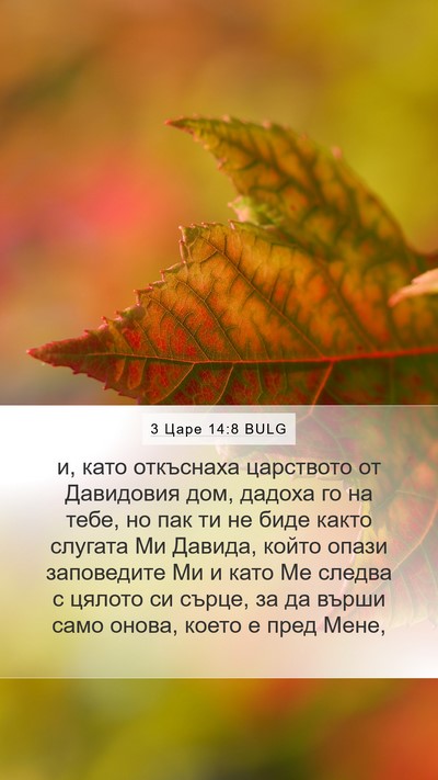 3 Царе 14:8 BULG Bible Verse Image
