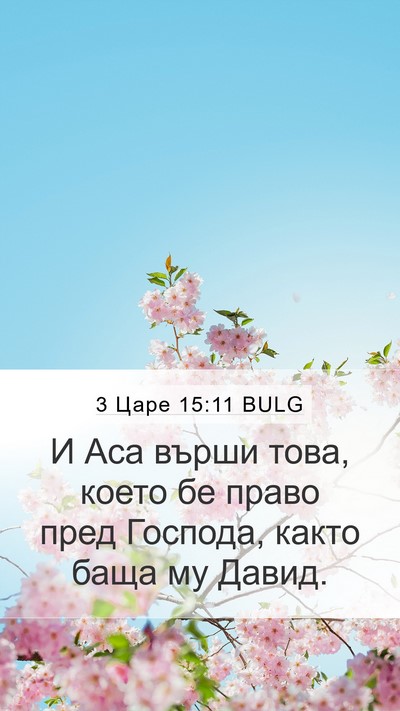 3 Царе 15:11 BULG Bible Verse Image