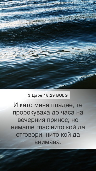 3 Царе 18:29 BULG Bible Verse Image