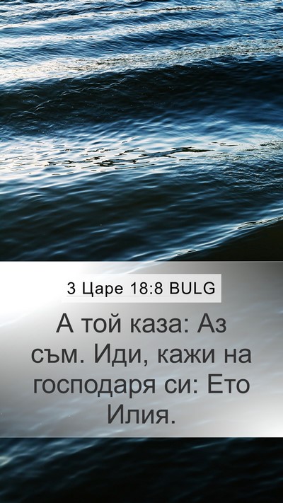 3 Царе 18:8 BULG Mobile Phone Wallpaper - А той каза: Аз съм. Иди, кажи - Mobile Bible Verse Wallpaper