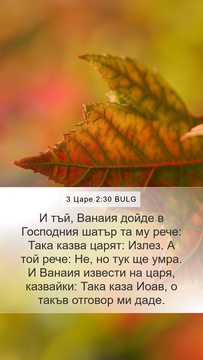 3 Царе 2:30 BULG Mobile Phone Wallpaper - И тъй, Ванаия дойде в - Mobile Bible Verse Wallpaper